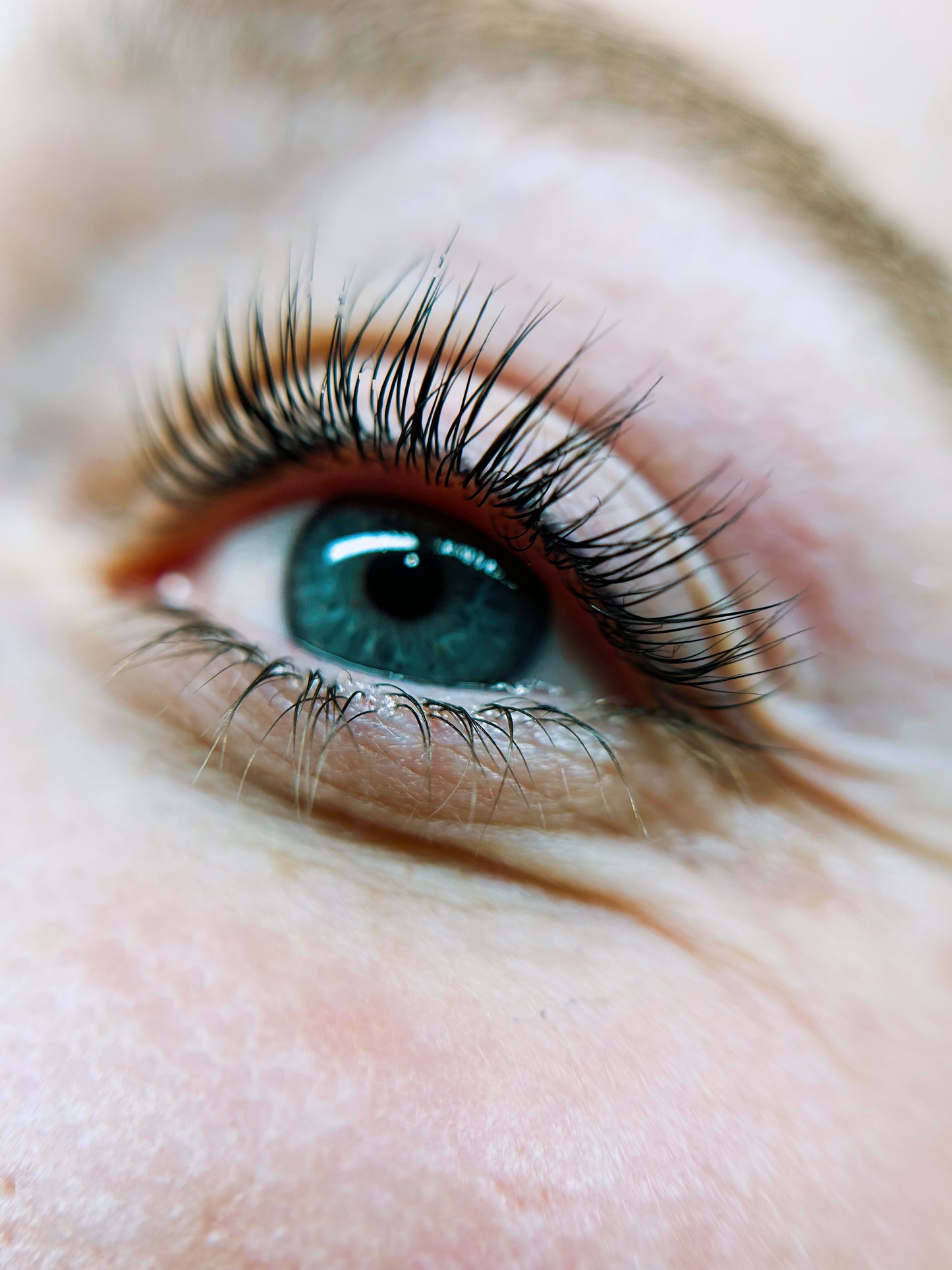 Lash Lift & Brow Lamination Courses - Online