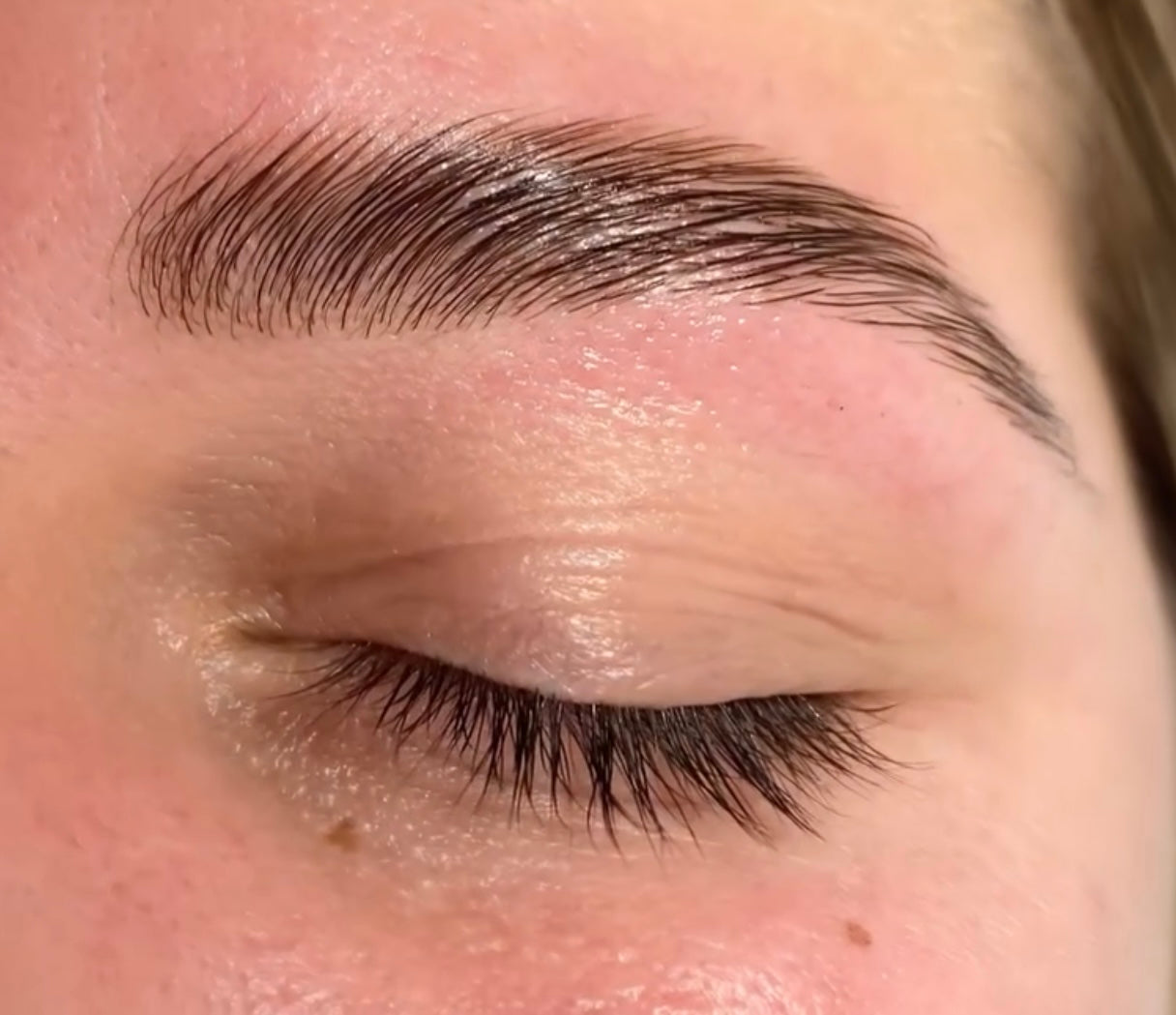 Brow Lamination, Tint & Shape Course + Bonuses - Online