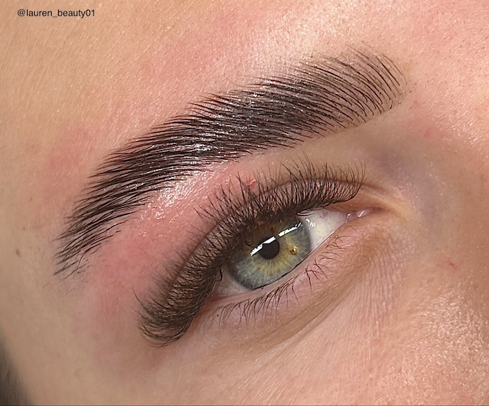 Brow Lamination, Tint & Shape Course + Bonuses - Online