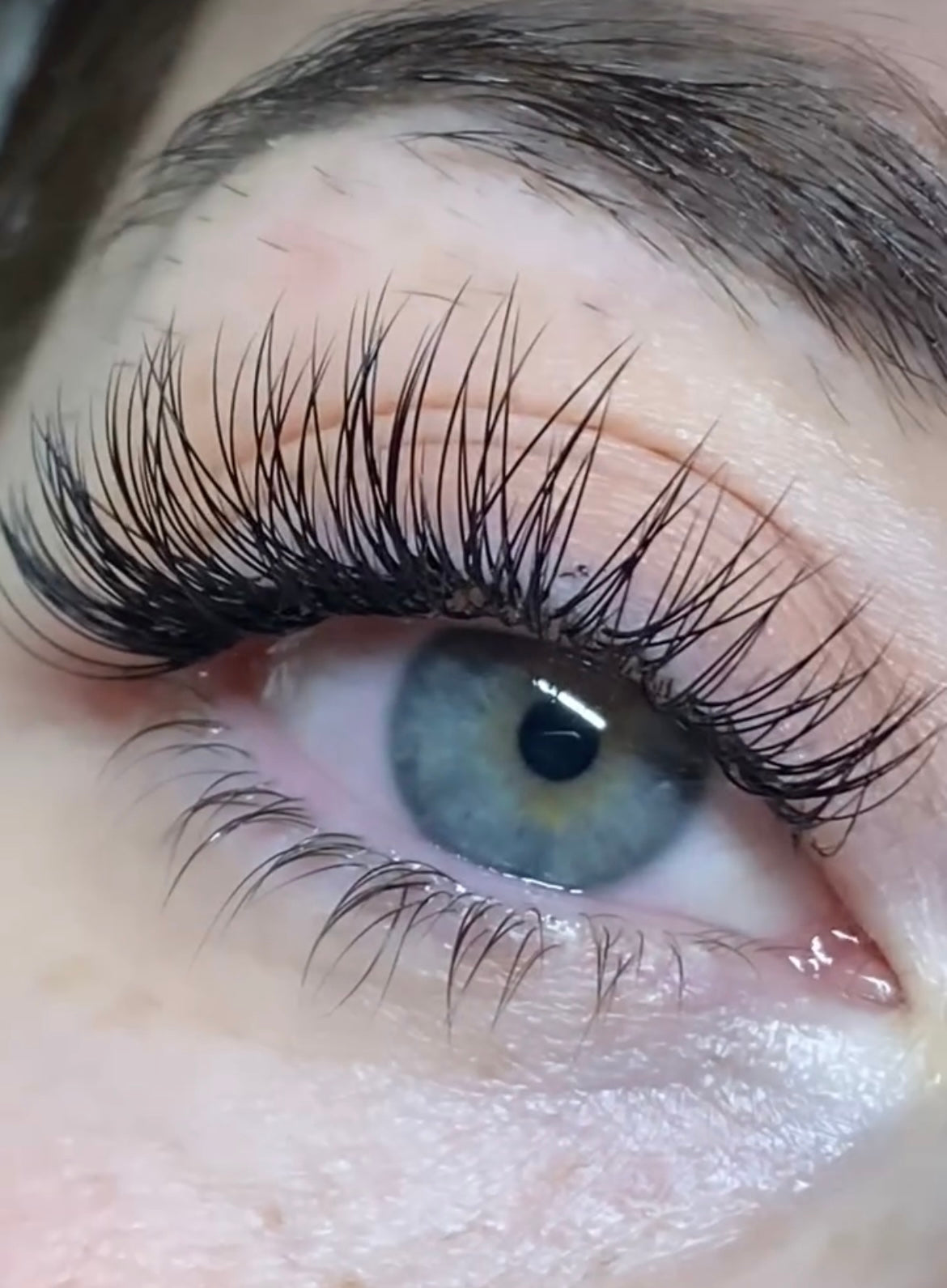 Lash Training Manual for Lash Artists to Train Students